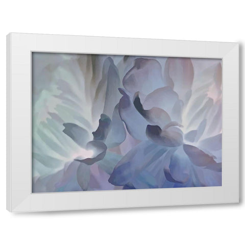 Chrysanthemum VI White Modern Wood Framed Art Print by Pollard, David