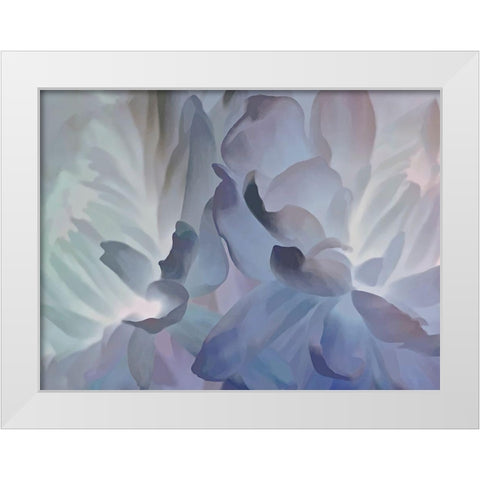 Chrysanthemum VI White Modern Wood Framed Art Print by Pollard, David