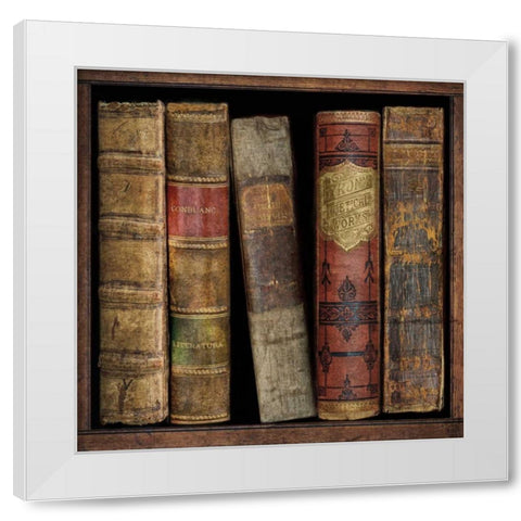 In The Library I White Modern Wood Framed Art Print by Brennan, Russell