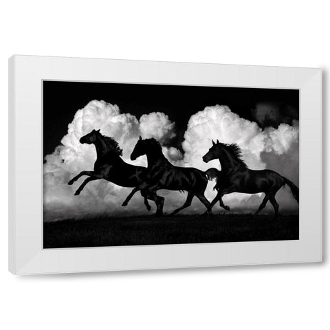 Wild Horses White Modern Wood Framed Art Print by Carter, Samantha