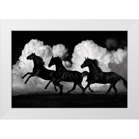 Wild Horses White Modern Wood Framed Art Print by Carter, Samantha