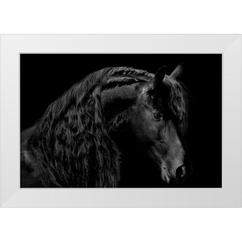 Classic Black II White Modern Wood Framed Art Print by Carter, Samantha