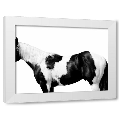 Pinto White Modern Wood Framed Art Print by Carter, Samantha