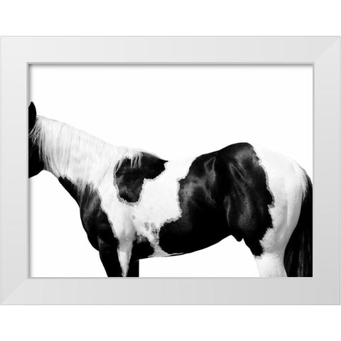 Pinto White Modern Wood Framed Art Print by Carter, Samantha