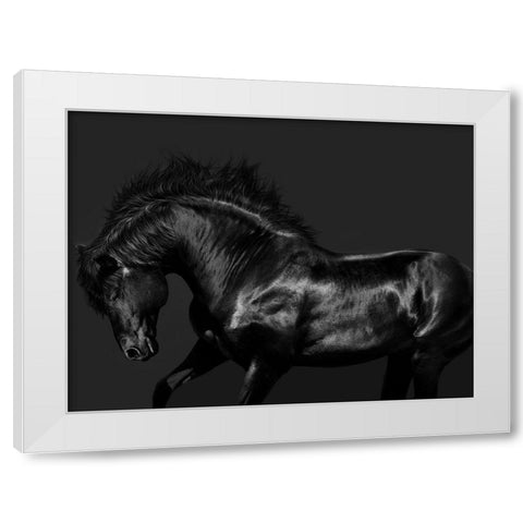 Black on Black White Modern Wood Framed Art Print by Carter, Samantha