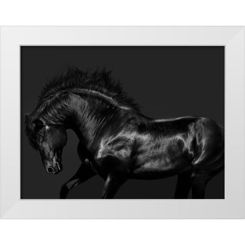 Black on Black White Modern Wood Framed Art Print by Carter, Samantha