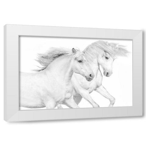 Duo II White Modern Wood Framed Art Print by Carter, Samantha