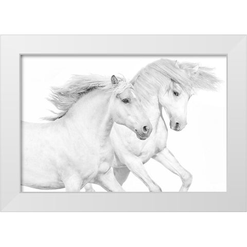 Duo II White Modern Wood Framed Art Print by Carter, Samantha