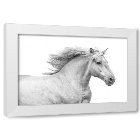 Solo I White Modern Wood Framed Art Print by Carter, Samantha
