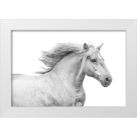 Solo I White Modern Wood Framed Art Print by Carter, Samantha