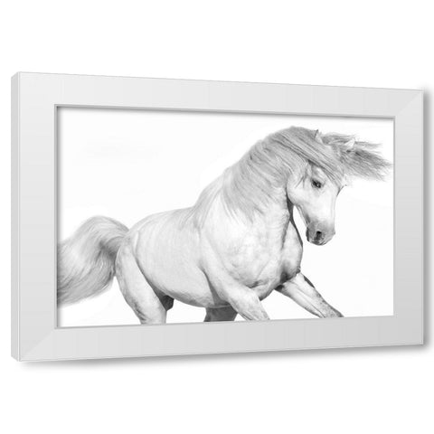 Solo II White Modern Wood Framed Art Print by Carter, Samantha