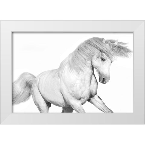 Solo II White Modern Wood Framed Art Print by Carter, Samantha