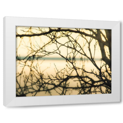 Aspen Sunset White Modern Wood Framed Art Print by Plank, Savanah