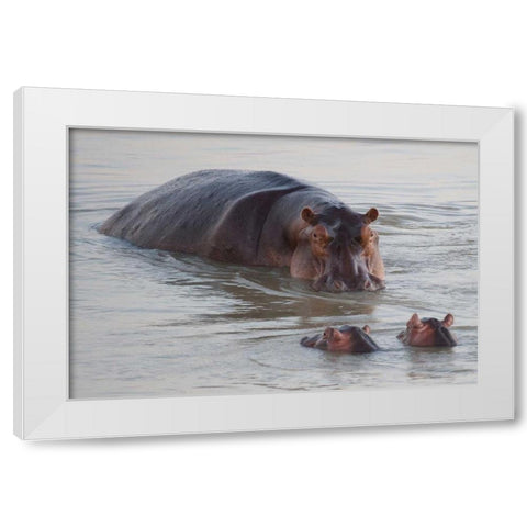 Class is in Session White Modern Wood Framed Art Print by Bennion, Scott