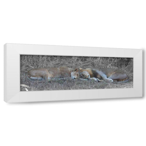 Lovers White Modern Wood Framed Art Print by Bennion, Scott