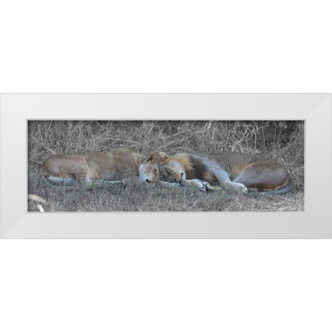 Lovers White Modern Wood Framed Art Print by Bennion, Scott