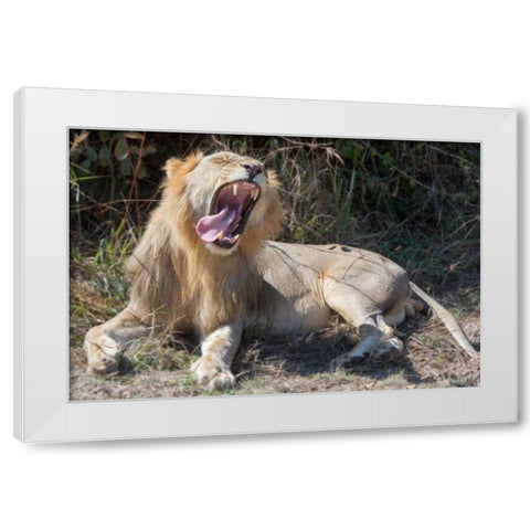 Speechless White Modern Wood Framed Art Print by Bennion, Scott