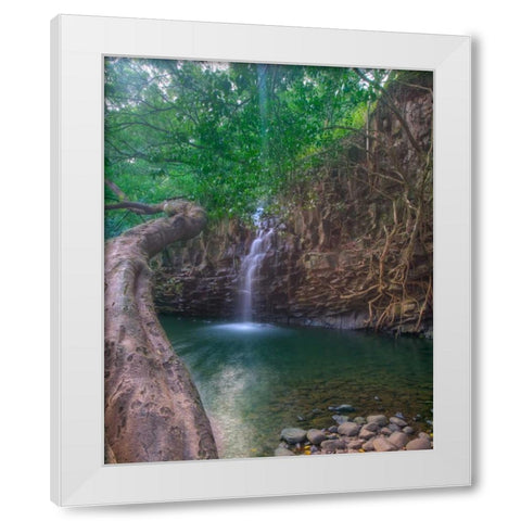 Sun Beam White Modern Wood Framed Art Print by Bennion, Scott