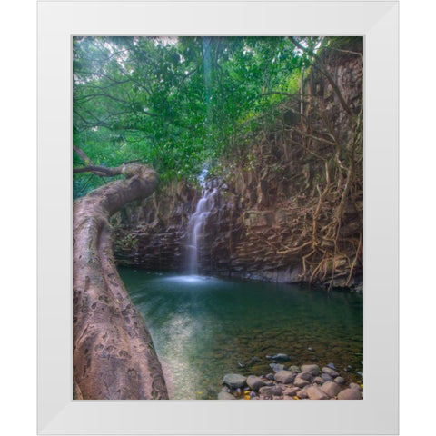 Sun Beam White Modern Wood Framed Art Print by Bennion, Scott