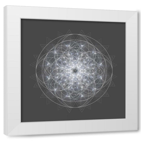 Dynamic II White Modern Wood Framed Art Print by Anderson, Tyler