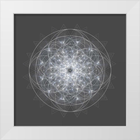 Dynamic II White Modern Wood Framed Art Print by Anderson, Tyler