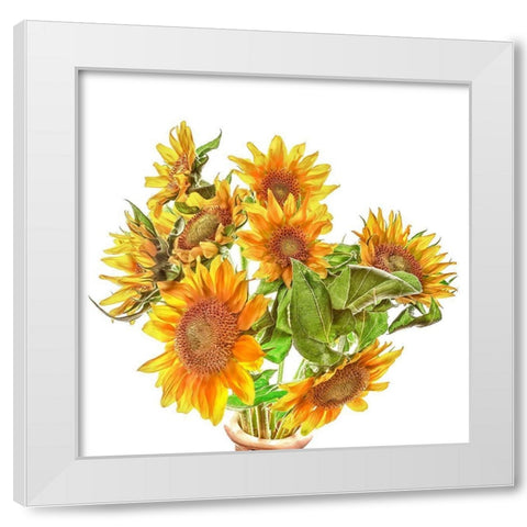 Sunflowers White Modern Wood Framed Art Print by Reynolds, Richard