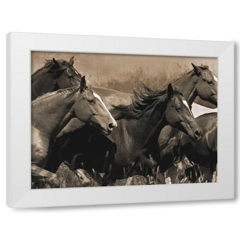 Middle of the Pack White Modern Wood Framed Art Print by Dawson, Robert