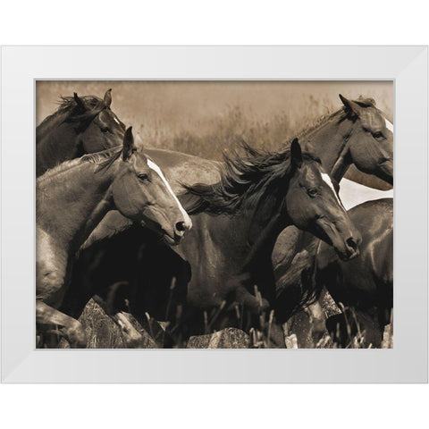Middle of the Pack White Modern Wood Framed Art Print by Dawson, Robert