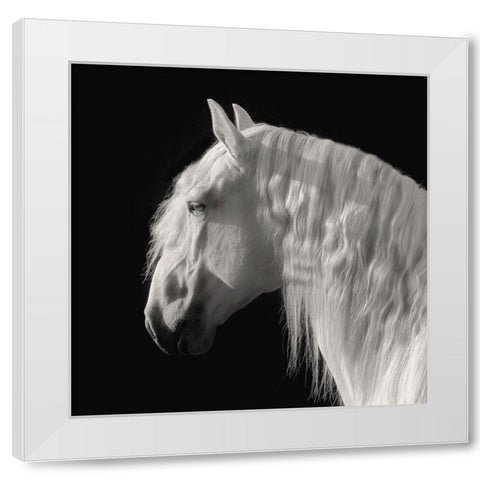 Contemplation White Modern Wood Framed Art Print by Dawson, Robert