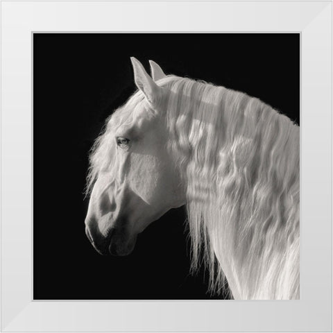 Contemplation White Modern Wood Framed Art Print by Dawson, Robert