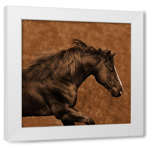 Eastward Gallop White Modern Wood Framed Art Print by Dawson, Robert
