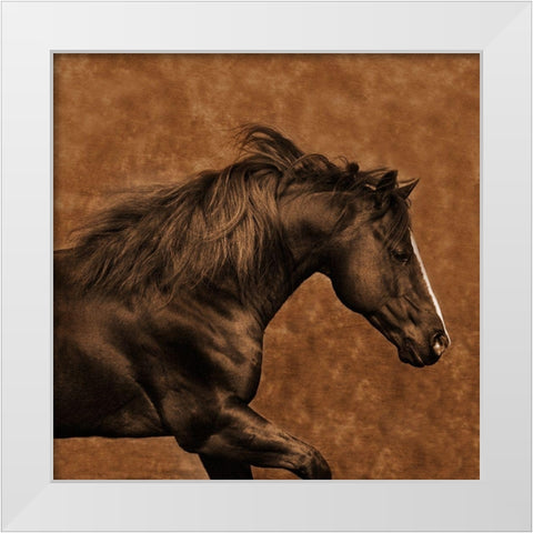 Eastward Gallop White Modern Wood Framed Art Print by Dawson, Robert
