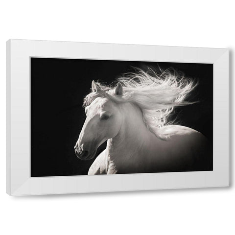Grey Ghost White Modern Wood Framed Art Print by Dawson, Robert