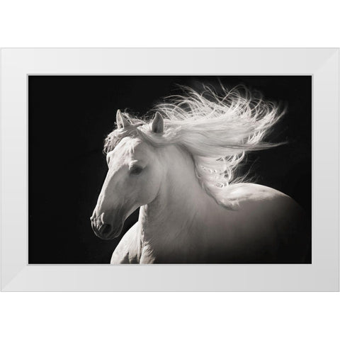 Grey Ghost White Modern Wood Framed Art Print by Dawson, Robert