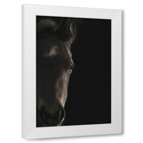 Look At Me White Modern Wood Framed Art Print by Dawson, Robert