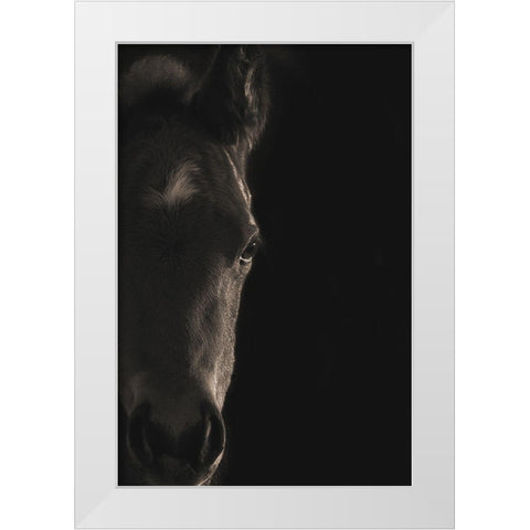 Look At Me White Modern Wood Framed Art Print by Dawson, Robert