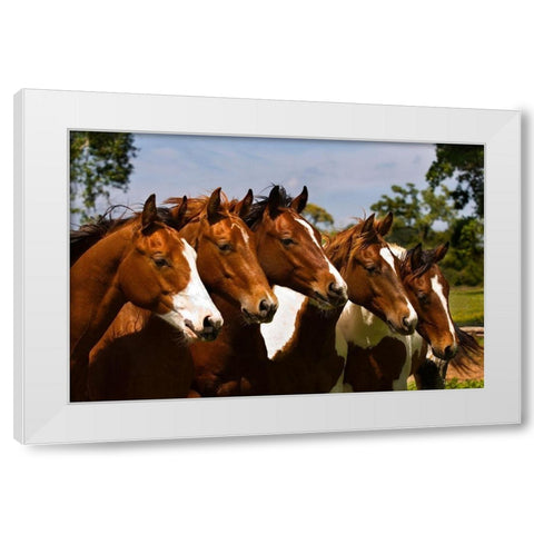 Best Friends White Modern Wood Framed Art Print by Dawson, Robert