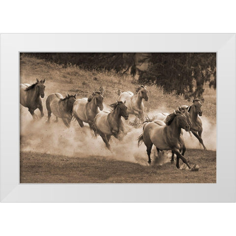 Leader of the Pack White Modern Wood Framed Art Print by Dawson, Robert