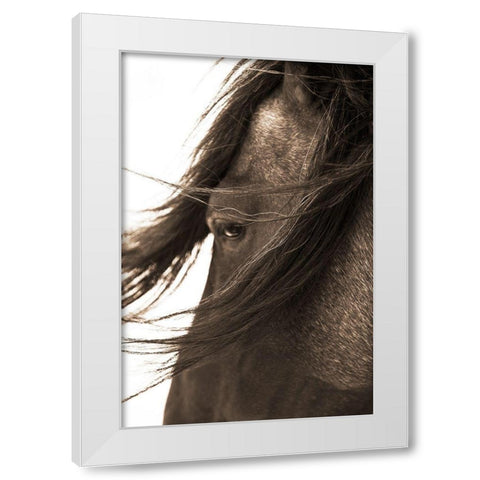 Dont Bother Me White Modern Wood Framed Art Print by Dawson, Robert