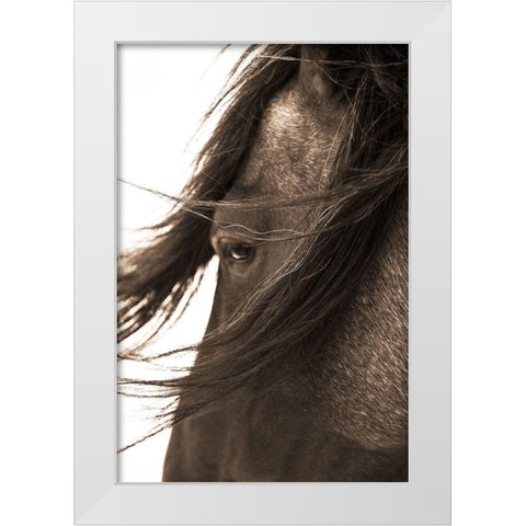 Dont Bother Me White Modern Wood Framed Art Print by Dawson, Robert