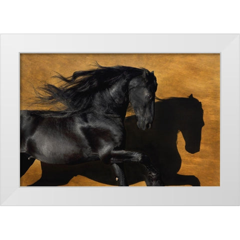 Fabiano I White Modern Wood Framed Art Print by Dawson, Robert
