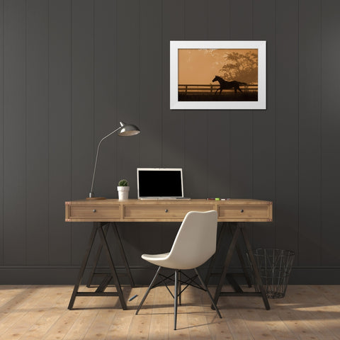 Headin For the Sun White Modern Wood Framed Art Print by Dawson, Robert