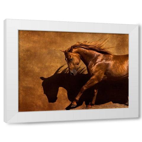 Adobe Dancer White Modern Wood Framed Art Print by Dawson, Robert