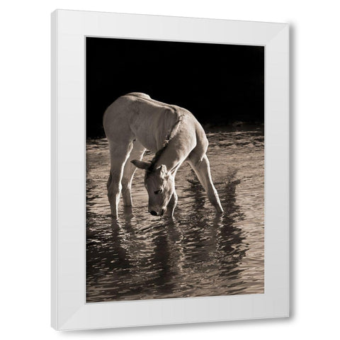 Cool Water White Modern Wood Framed Art Print by Dawson, Robert