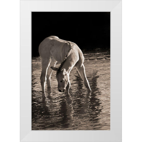 Cool Water White Modern Wood Framed Art Print by Dawson, Robert