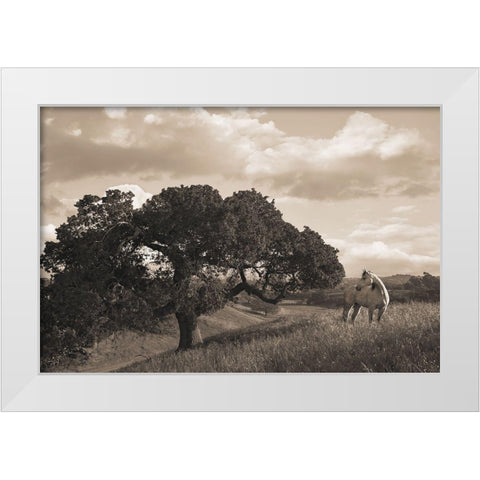 California Evening White Modern Wood Framed Art Print by Dawson, Robert