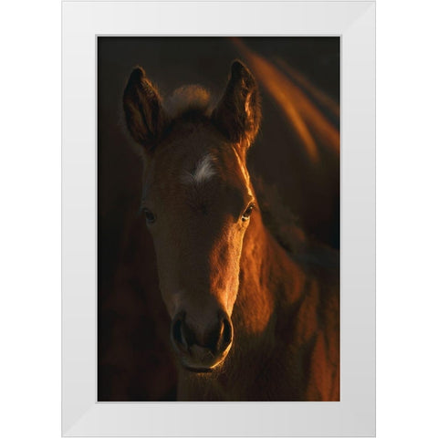 Little Miss White Modern Wood Framed Art Print by Dawson, Robert