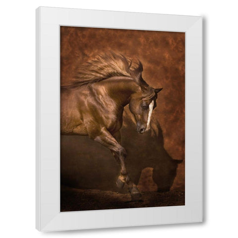 Horse Dancer White Modern Wood Framed Art Print by Dawson, Robert