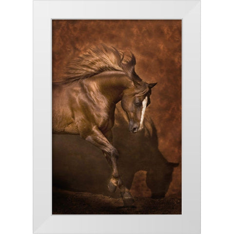 Horse Dancer White Modern Wood Framed Art Print by Dawson, Robert