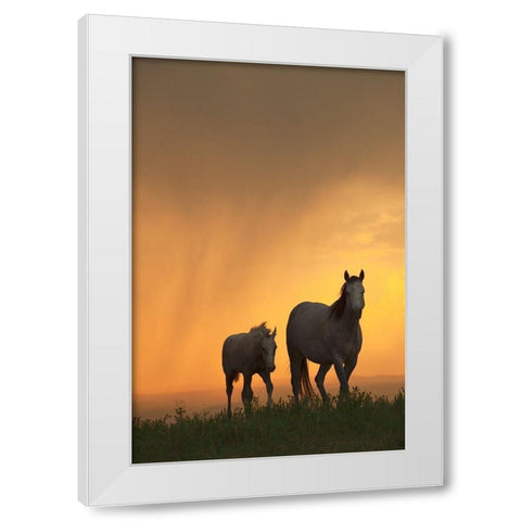 Evening Walk White Modern Wood Framed Art Print by Dawson, Robert